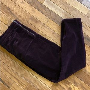 Deep purple velvet Gap pants/leggings